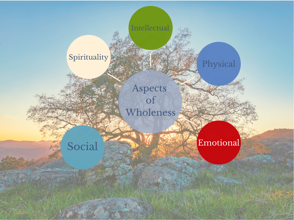 treee and sunset with aspects of wholeness in colored circles